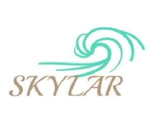 SKYLAR 自動売買