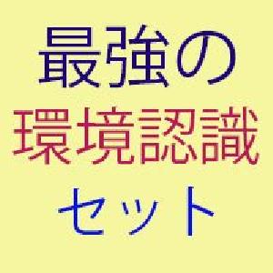 ラージキャンドルとプライスアクションサインセット インジケーター・電子書籍