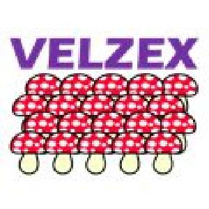 VELZEX 自動売買