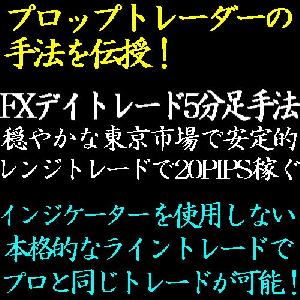 FX5分足レンジFXトレード手法！東京時間で安定的に20PIPSをゲットする！ インジケーター・電子書籍