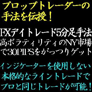 FX5分足を使用したニューヨーク時間限定FXトレード手法！高ボラティリティのニューヨーク市場で高値・安値ブレイクを狙い30PIPSをがっつりゲット！ インジケーター・電子書籍