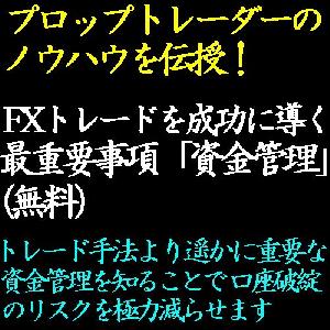 FX手法を成功に導くレポートシリーズ「資金管理編」 インジケーター・電子書籍