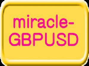 miracle 自動売買