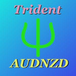 トライデント　AUDNZD Auto Trading