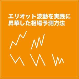 エリオット波動で相場を予測する方法 インジケーター・電子書籍