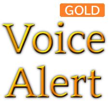 VoiceAlertインジケーター　GOLD インジケーター・電子書籍