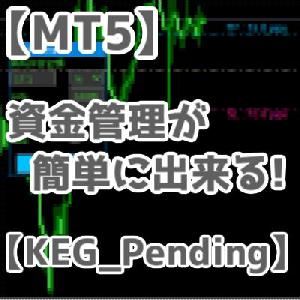 【MT5】資金管理を自動計算する裁量補助ツール【KEG_Pending】 インジケーター・電子書籍