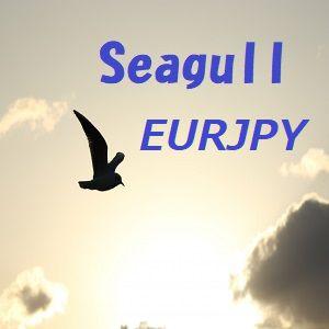 Seagull_EURJPY_M5 自動売買