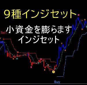 【小資金対応】９種インジ付き　小資金を短期間で膨らます専業パック 2022 インジケーター・電子書籍