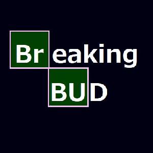 Breaking BUD 自動売買