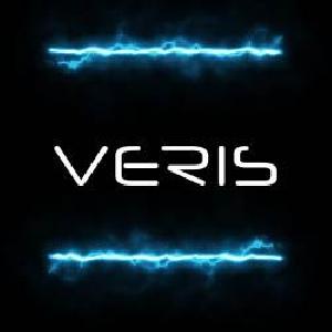 VERIS 自動売買