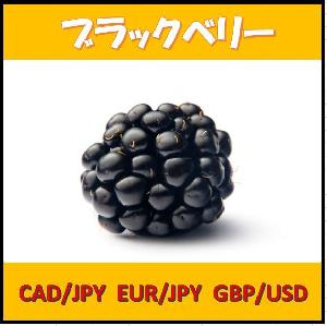 ブラックベリー 自動売買