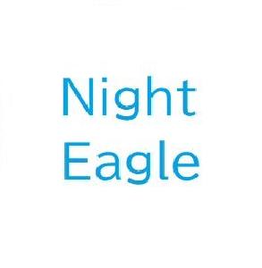 Night_Eagle 自動売買