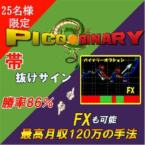 【最強】平均勝率83％ PICOバイナリー 勝てるポイントでエントリーするので高勝率！！動画をご覧ください サインツール高勝率高精度 インジケーター・電子書籍