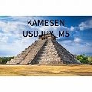 KAMESEN_G 自動売買