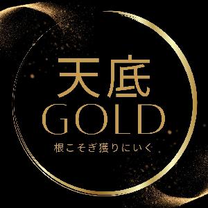 天底根こそぎＧＯＬＤインジケータ インジケーター・電子書籍