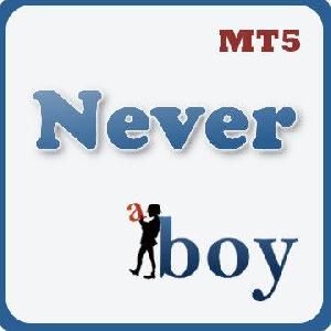 Never_MT5_セット 自動売買