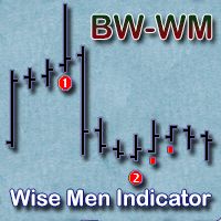 Wise Men Indicator インジケーター・電子書籍