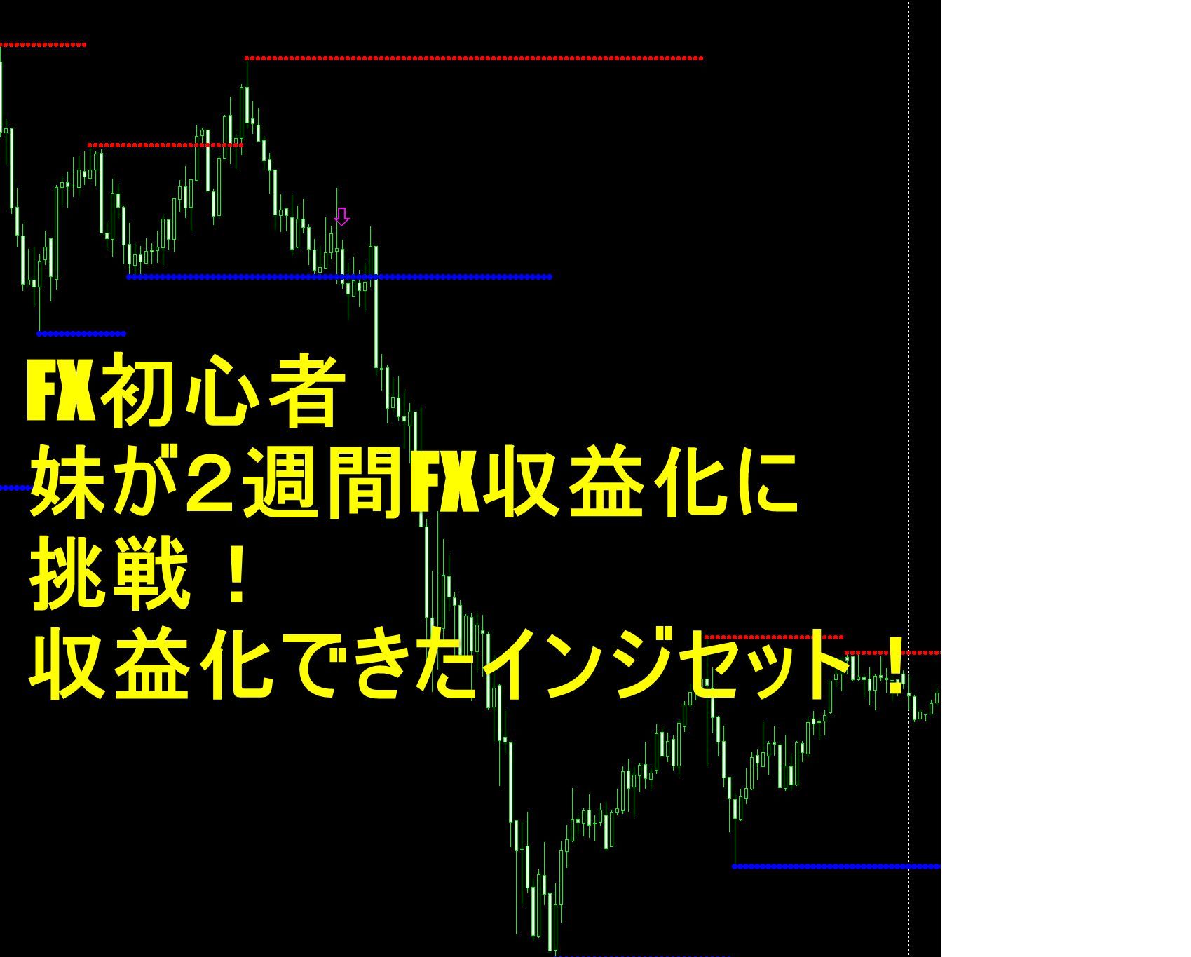 FX超初心者の妹が２週間FX収益化に挑戦！収益化できたインジセット！ インジケーター・電子書籍