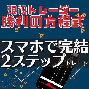 動画コンテンツ「十数年この手法でトレードを行っている専業トレーダーの手法」 インジケーター・電子書籍