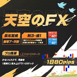 【天空のFX】 高機能インジケーターから導き出されるエントリーと決済の最適なFXのスキャルピング・デイトレードロジック サインツールやシグナルツールのトレード手法 インジケーター・電子書籍