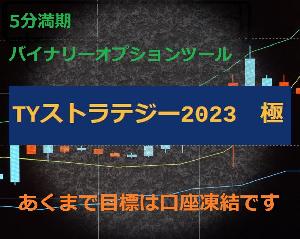 ★TYストラテジー2023極　～あくまで目標は凍結です～★ インジケーター・電子書籍