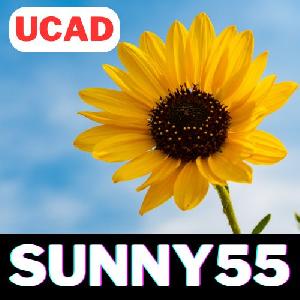 UCAD SUNNY55 自動売買