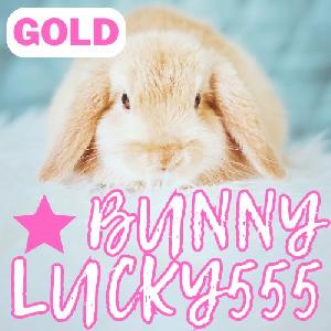 BUNNY GOLD LUCKY555 自動売買