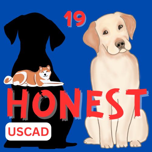 USCAD HONEST19 Auto Trading