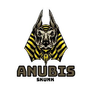 Anubis Skunk EA 自動売買