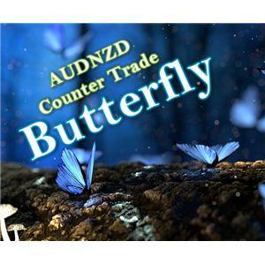 Butterfly_AUDNZD 自動売買