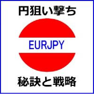 「クロス円ナビケーターEURJPY」 インジケーター・電子書籍