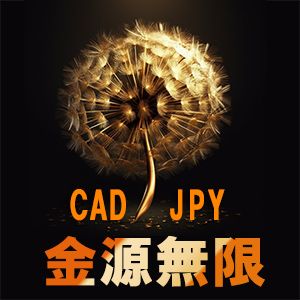 金源無限-カナダドル円(CJMB) 自動売買