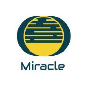 Miracle USDJPY　30 自動売買