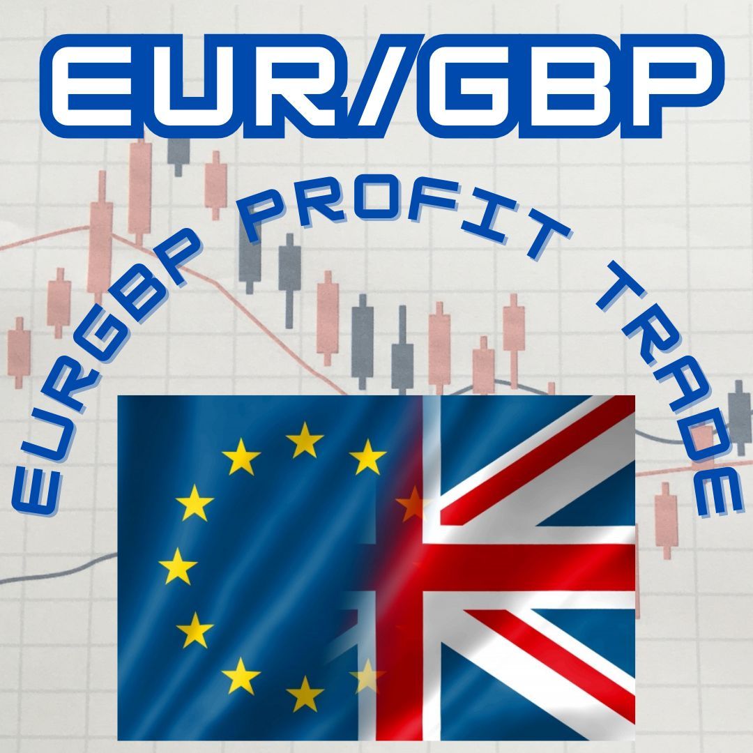 ゆーぽん　プロフィットトレード　EUR/GBP Auto Trading