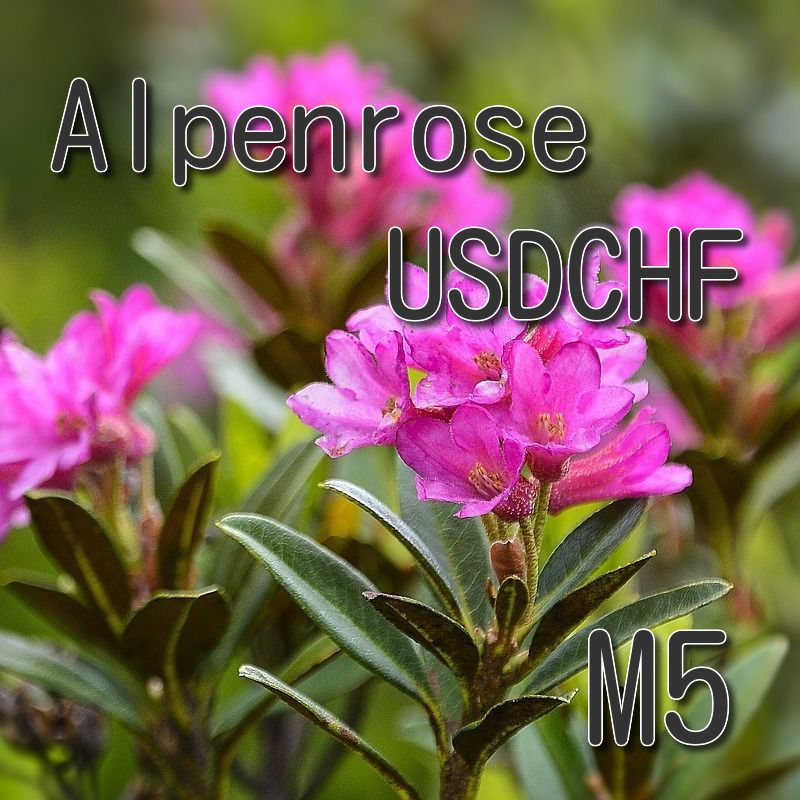 Alpenrose 自動売買