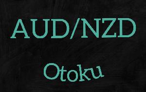 AUDNZD Otoku 自動売買