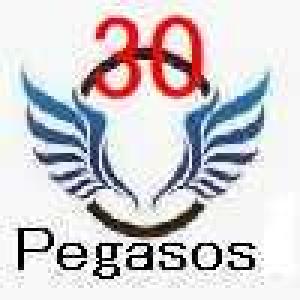 Pegasos30 自動売買