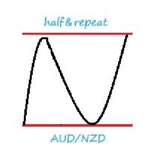 half＆repeat　AUD/NZD 自動売買