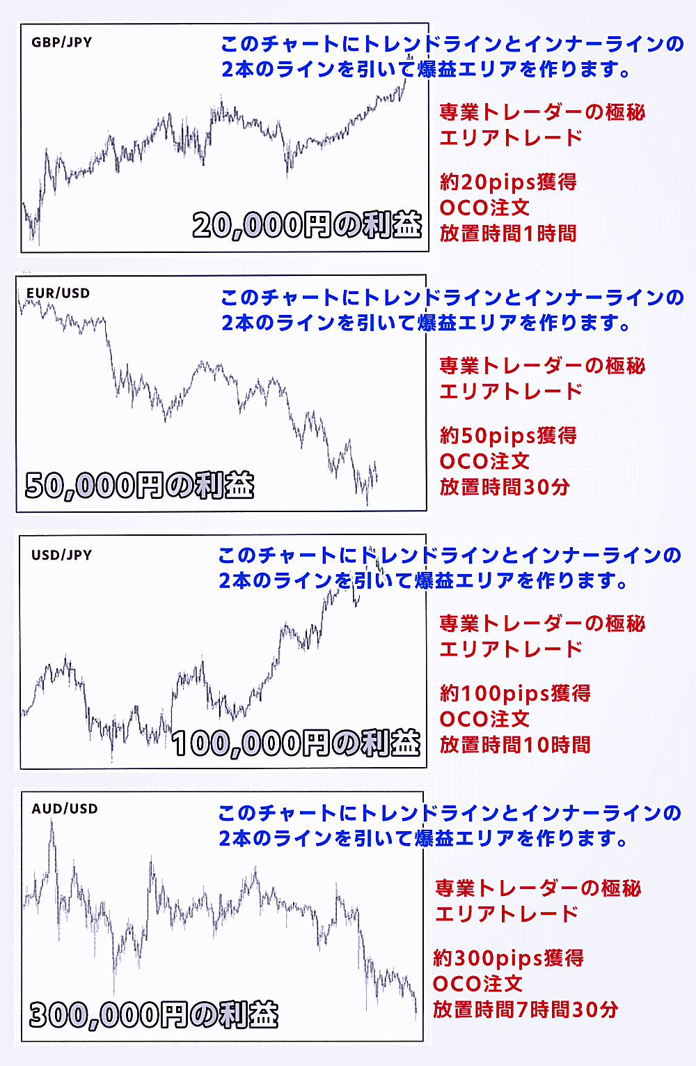 挑戦と成長を諦めたくない人の目標達成術 新品 自己啓発 経営者 本