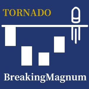 BreakingMagnum_Tornade 自動売買