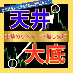 2月限定 魔法のサイン！相場の天井と底をピンポイントにとらえる待望のオリジナル最強インジケーター『FX-KAIDO』 インジケーター・電子書籍