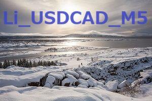 Li_USDCAD_M5 自動売買