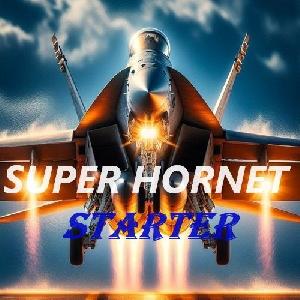 SUPER_HORNET_STARTER 自動売買