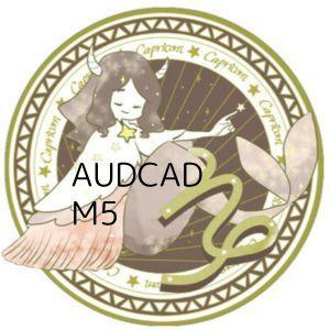 ryusei_capricorn_AUDCAD_M5 自動売買