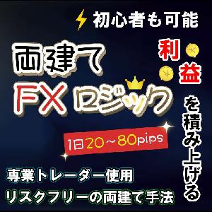 両建てFXロジック インジケーター・電子書籍