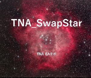 TNA_SwapStar 自動売買