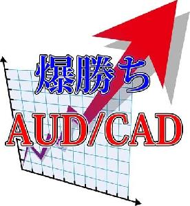 爆勝ちAUD/CAD 自動売買