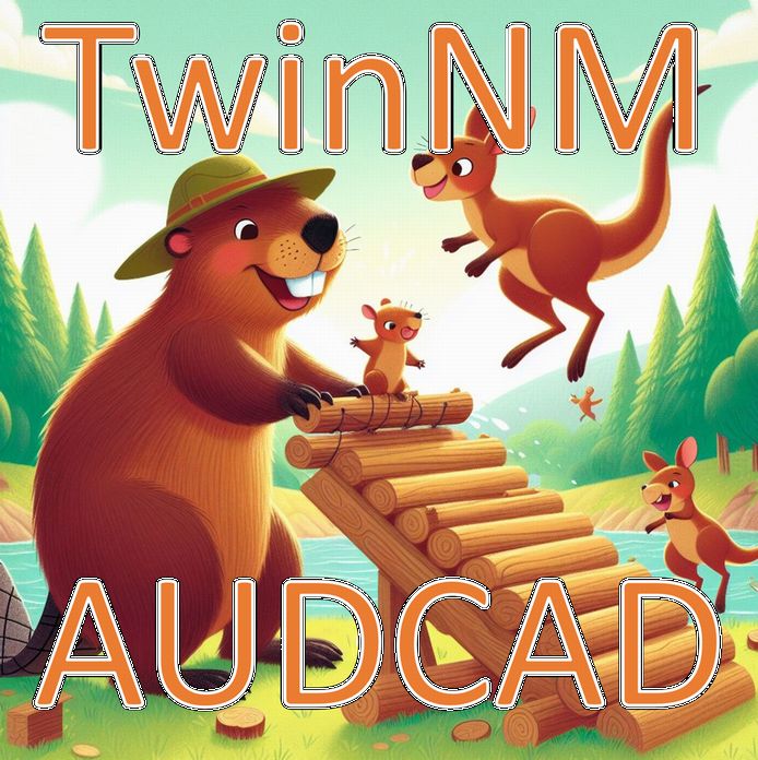 TwinNM AUDCAD 自動売買