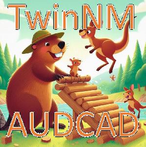 TwinNM AUDCAD 自動売買